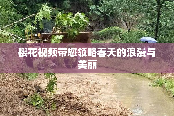 樱花视频带您领略春天的浪漫与美丽