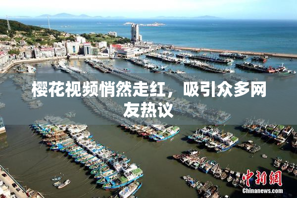 樱花视频悄然走红，吸引众多网友热议