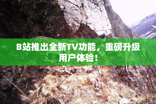 B站推出全新TV功能，重磅升级用户体验！