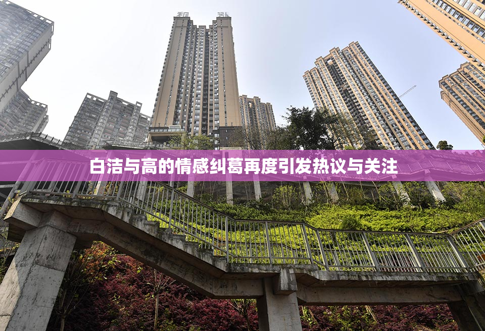 白洁与高的情感纠葛再度引发热议与关注