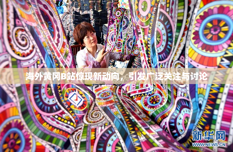 海外黄冈B站惊现新动向，引发广泛关注与讨论