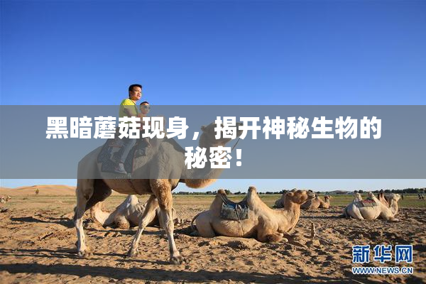 黑暗蘑菇现身，揭开神秘生物的秘密！