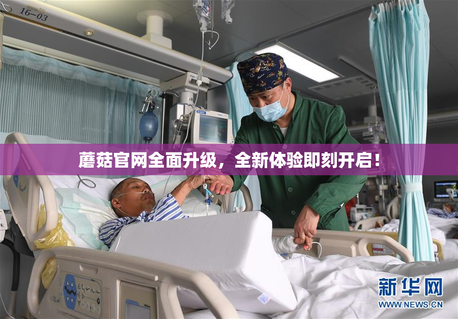 蘑菇官网全面升级，全新体验即刻开启！