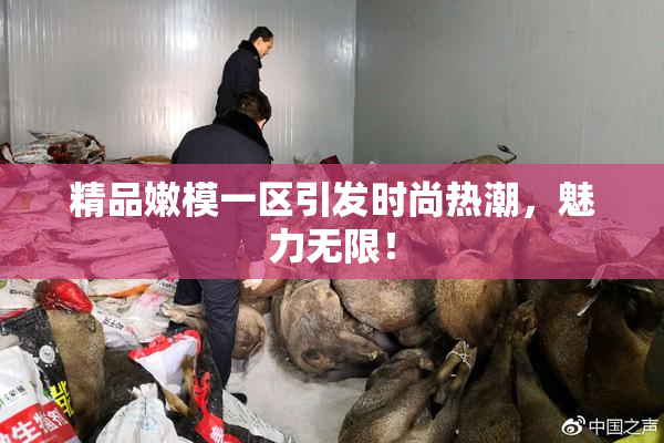 精品嫩模一区引发时尚热潮，魅力无限！
