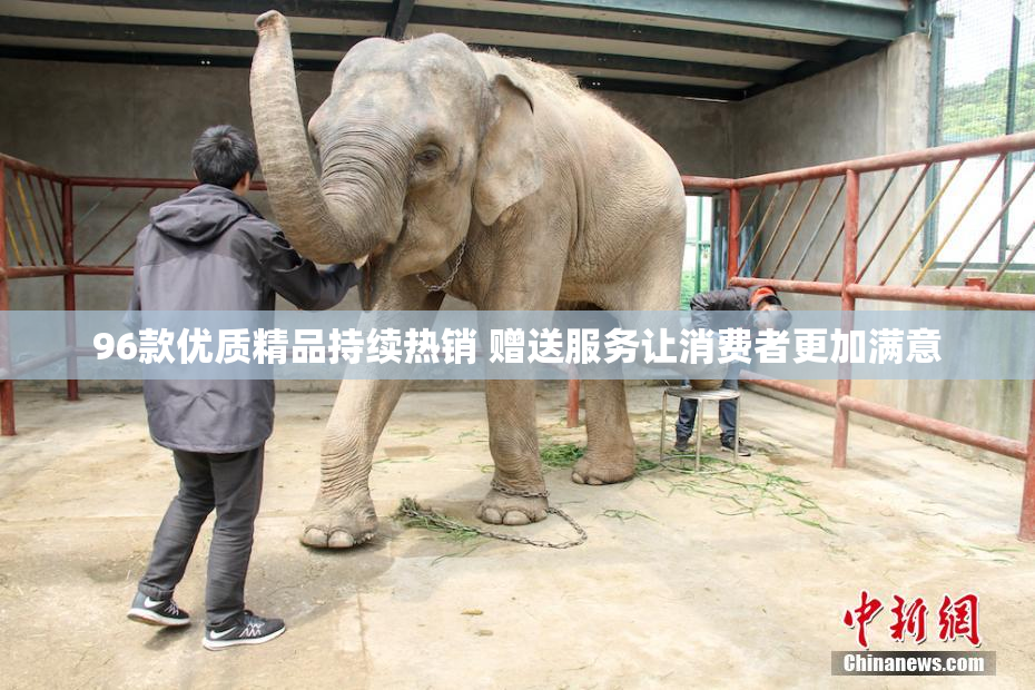 96款优质精品持续热销 赠送服务让消费者更加满意
