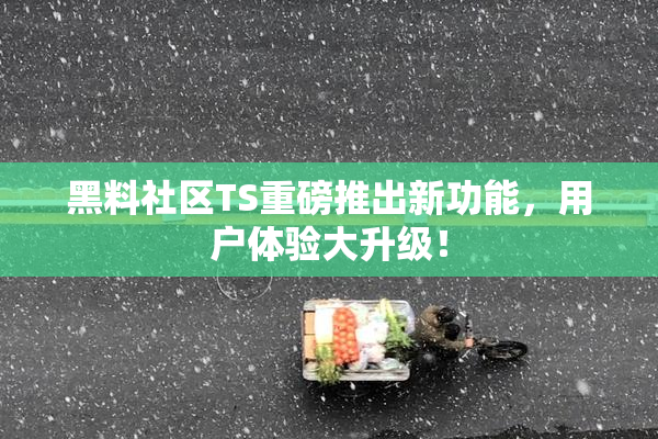 黑料社区TS重磅推出新功能，用户体验大升级！
