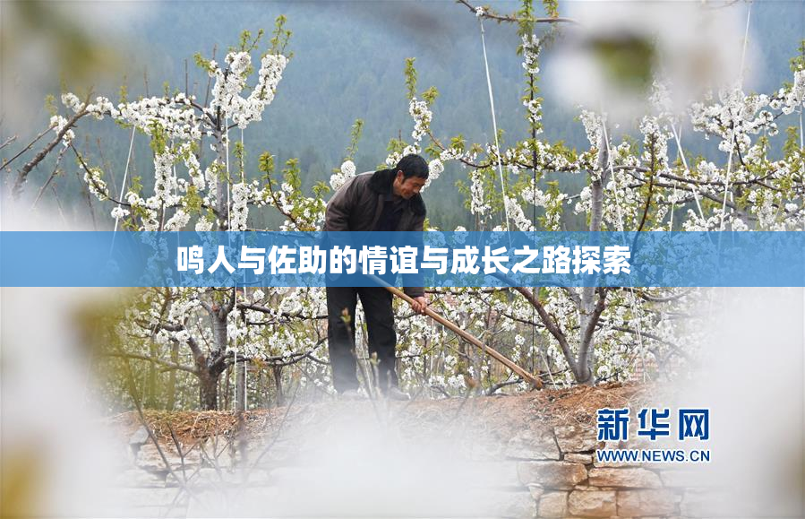 鸣人与佐助的情谊与成长之路探索