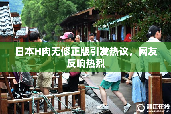 日本H肉无修正版引发热议，网友反响热烈