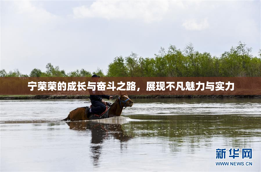 宁荣荣的成长与奋斗之路，展现不凡魅力与实力