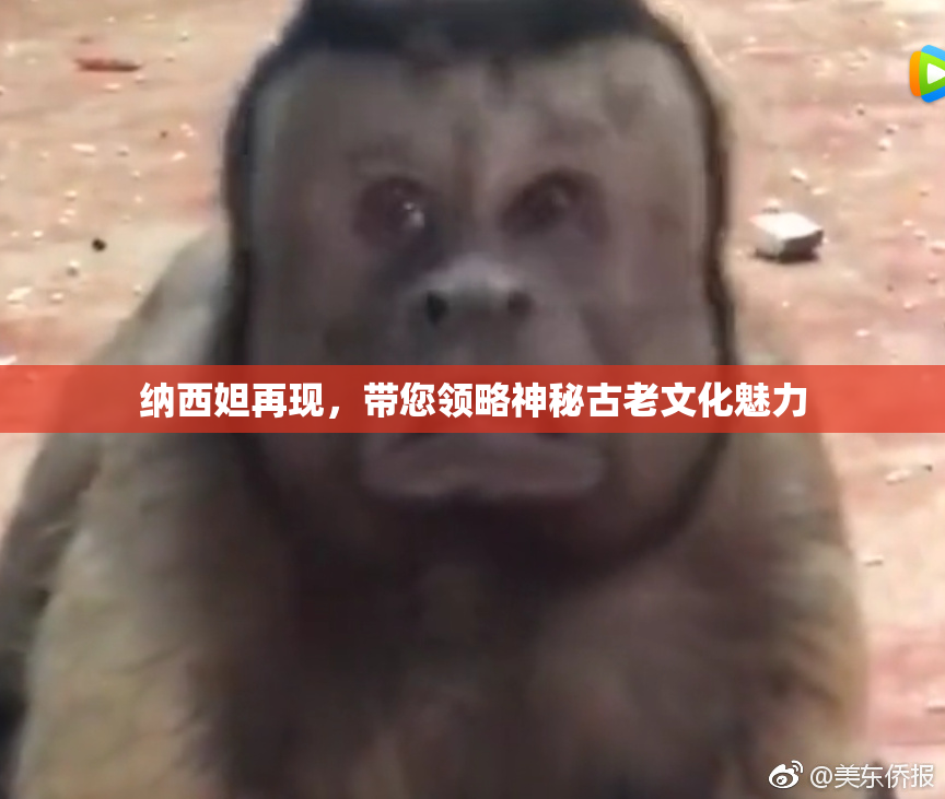纳西妲再现，带您领略神秘古老文化魅力