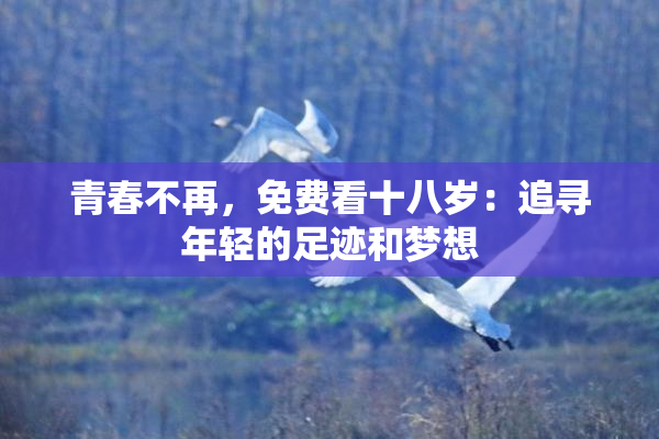青春不再，免费看十八岁：追寻年轻的足迹和梦想