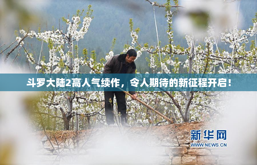 斗罗大陆2高人气续作，令人期待的新征程开启！