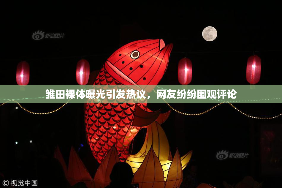 雏田裸体曝光引发热议，网友纷纷围观评论
