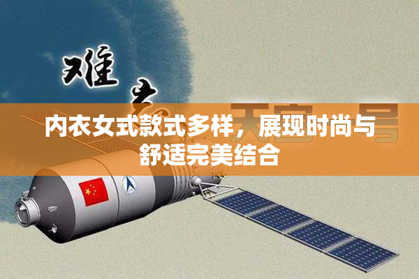 内衣女式款式多样，展现时尚与舒适完美结合