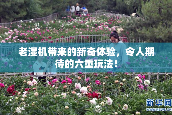 老湿机带来的新奇体验，令人期待的六重玩法！