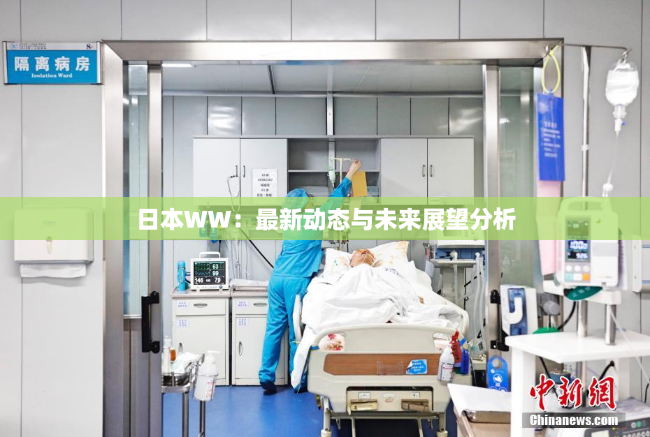日本WW：最新动态与未来展望分析