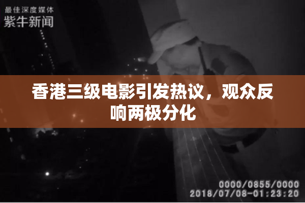 香港三级电影引发热议，观众反响两极分化