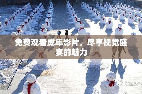 免费观看成年影片，尽享视觉盛宴的魅力