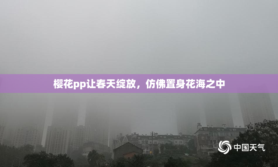 樱花pp让春天绽放，仿佛置身花海之中