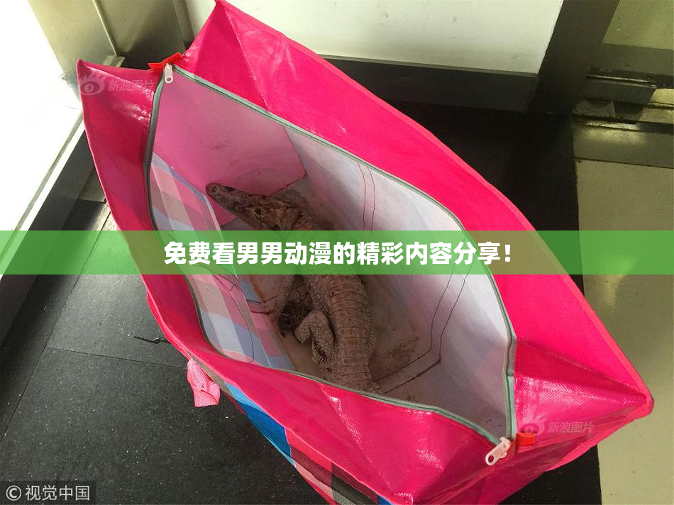 免费看男男动漫的精彩内容分享！