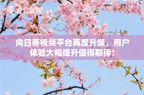 向日葵视频平台再度升级，用户体验大幅提升值得期待！