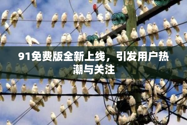 91免费版全新上线，引发用户热潮与关注