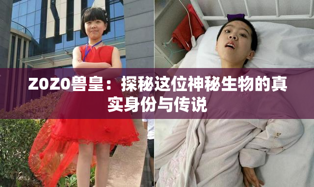 Z0Z0兽皇：探秘这位神秘生物的真实身份与传说