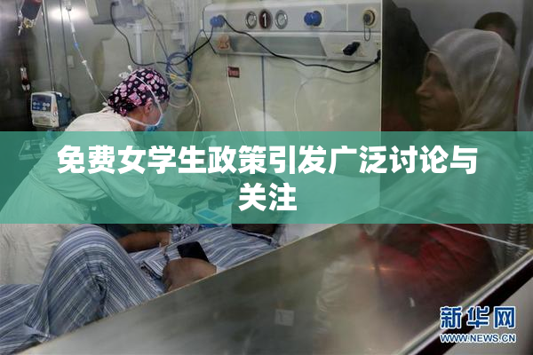 免费女学生政策引发广泛讨论与关注