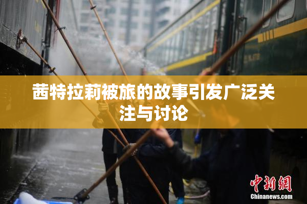 茜特拉莉被旅的故事引发广泛关注与讨论