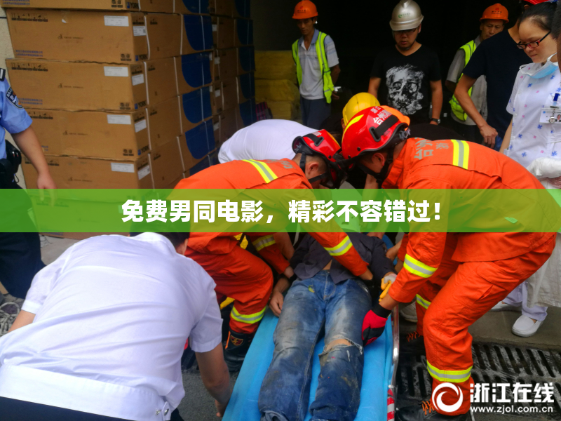 免费男同电影，精彩不容错过！