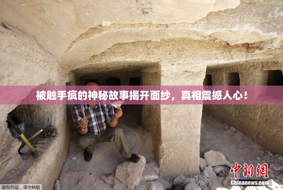 被触手疯的神秘故事揭开面纱，真相震撼人心！