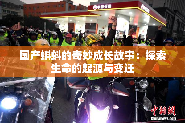 国产蝌蚪的奇妙成长故事：探索生命的起源与变迁