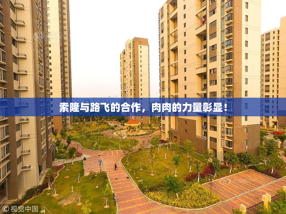 索隆与路飞的合作，肉肉的力量彰显！