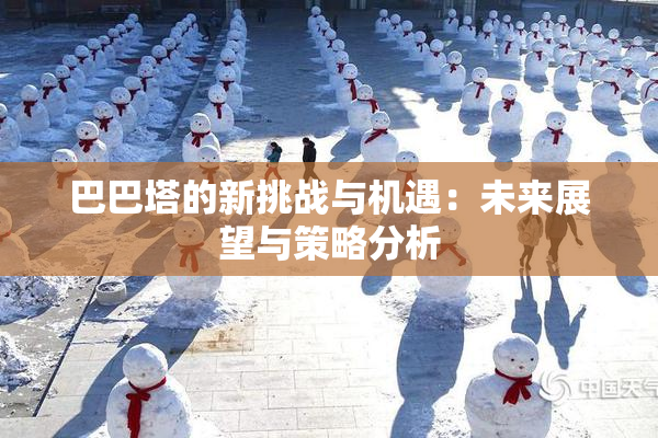 巴巴塔的新挑战与机遇：未来展望与策略分析