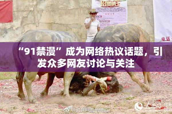 “91禁漫”成为网络热议话题，引发众多网友讨论与关注