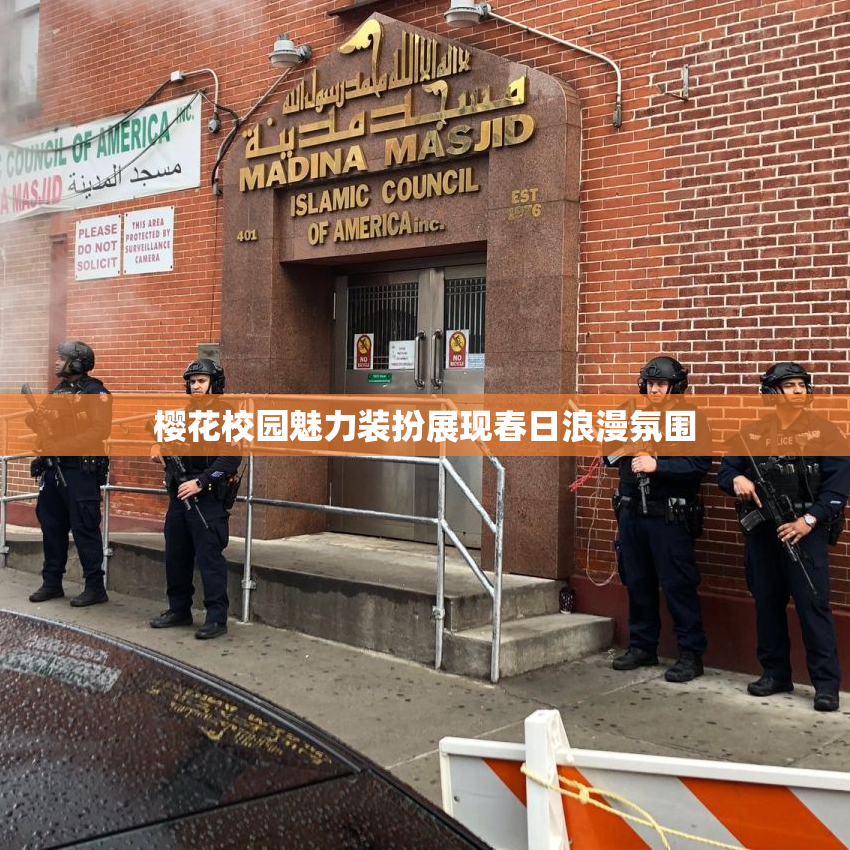 樱花校园魅力装扮展现春日浪漫氛围