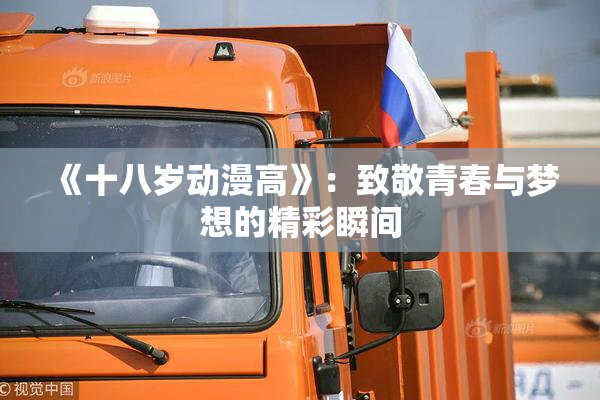 《十八岁动漫高》：致敬青春与梦想的精彩瞬间