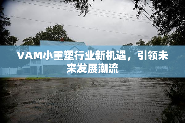 VAM小重塑行业新机遇，引领未来发展潮流
