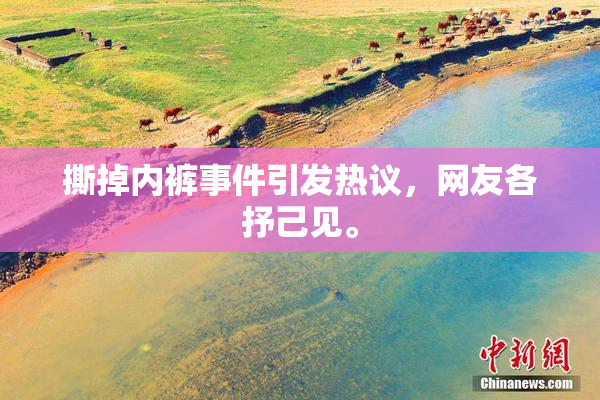 撕掉内裤事件引发热议，网友各抒己见。