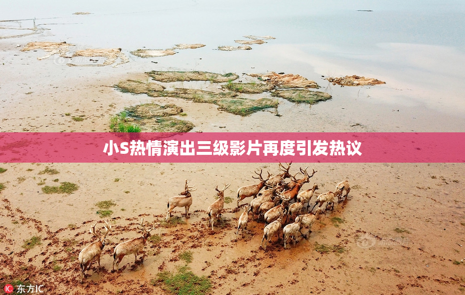 小S热情演出三级影片再度引发热议