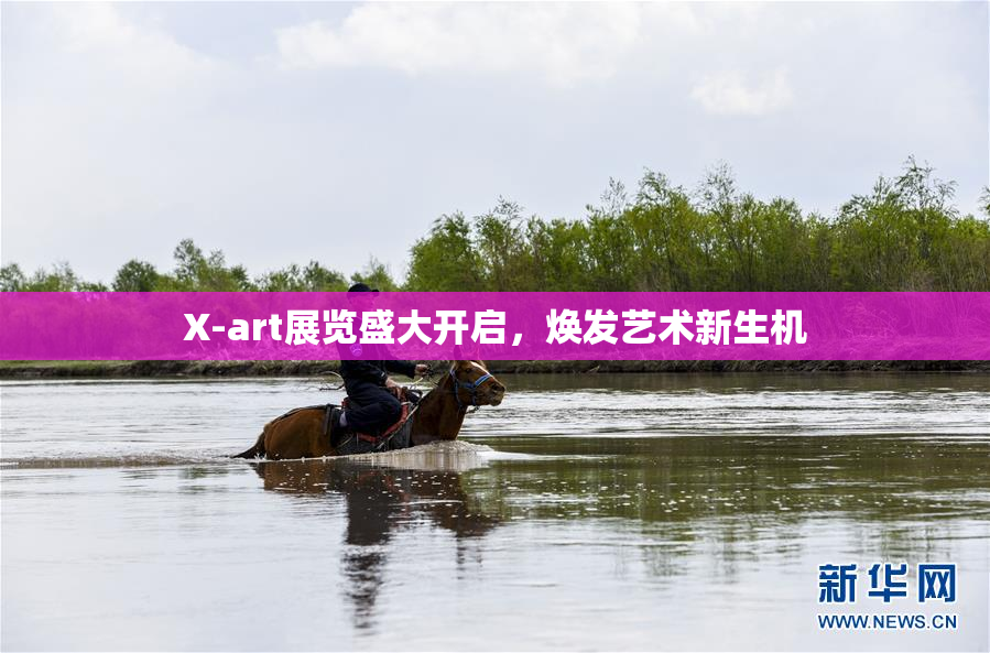 X-art展览盛大开启，焕发艺术新生机