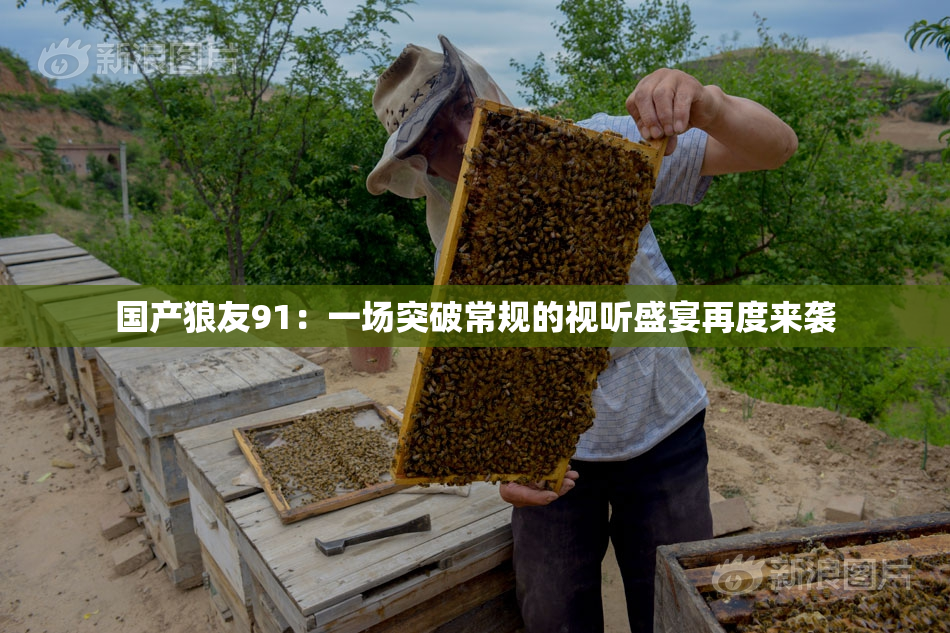 国产狼友91：一场突破常规的视听盛宴再度来袭