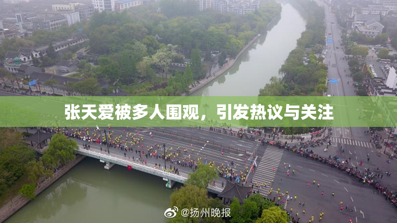 张天爱被多人围观，引发热议与关注
