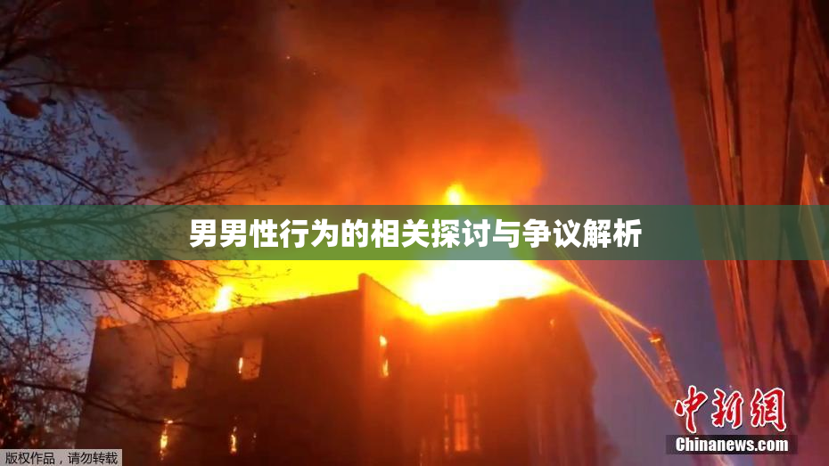 男男性行为的相关探讨与争议解析