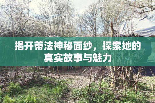 揭开蒂法神秘面纱，探索她的真实故事与魅力