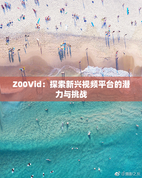 Z00Vid：探索新兴视频平台的潜力与挑战