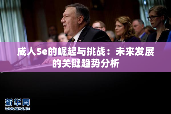 成人Se的崛起与挑战：未来发展的关键趋势分析