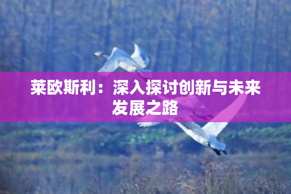 莱欧斯利：深入探讨创新与未来发展之路