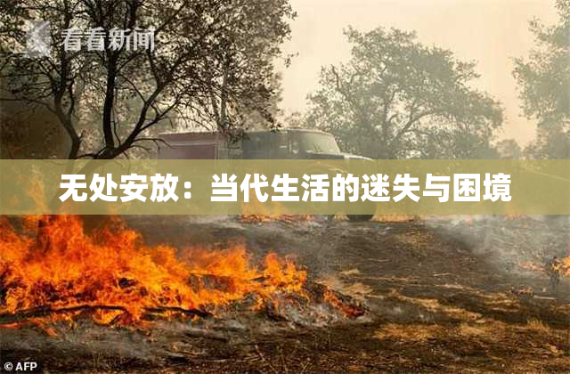 无处安放：当代生活的迷失与困境