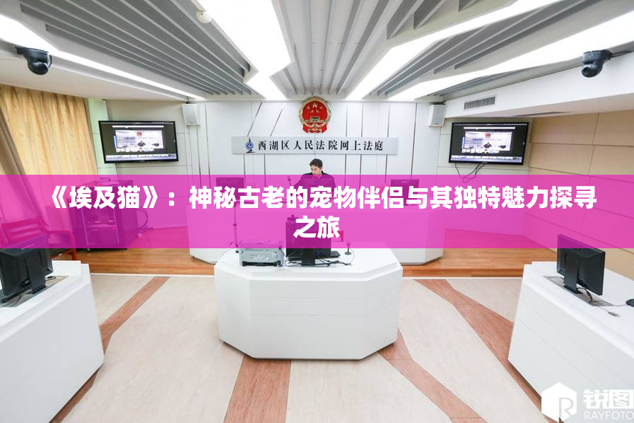 《埃及猫》：神秘古老的宠物伴侣与其独特魅力探寻之旅